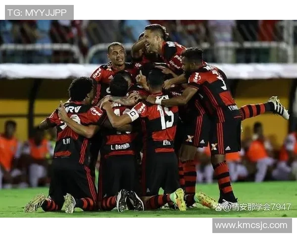 解放者杯激战圣河体育迎战弗拉门戈争夺荣耀与胜利 解放者杯激战圣河体育迎战弗拉门戈争夺荣耀与胜利